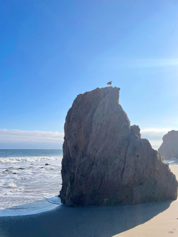 westkueste juni 2026 18